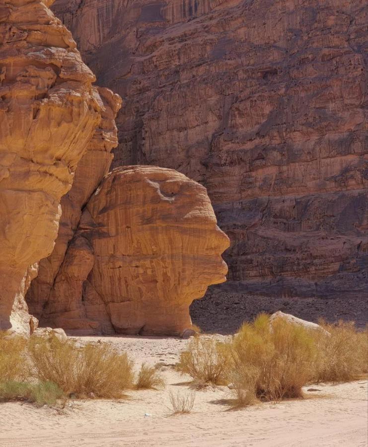 Star Rum Wadi Rum Bagian luar foto